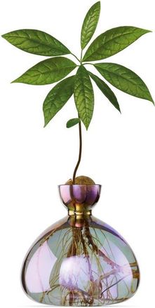 Ilex Studio Glass Avocado Vase in Vega Iridescent at Nordstrom