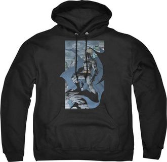Gildan Batman This Is My City Adult Pull Over Hoodie / Hooded Sweatshirt