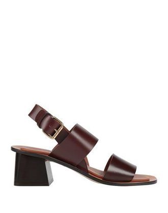 Mansur Gavriel SANDA