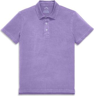 primary Adult Classic Polo in Garment Dye Iris at Nordstrom, Size Xx-Large