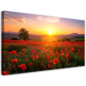 Feeby Cuadro En Lienzo, Amapolas En La Pradera Atardecer, 120x60