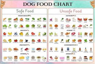 OEM Dog Food Chart - Safe And Toxic Food List For Dogs - Dog Diet Guide Poster - Canvas Wall Art - 1 Piece