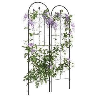 OUTSUNNY Juego De 2 Enrejados De Jard&iacute;n, Soportes Para Plantas Trepadoras Con Marco Met&aacute;lico Para Frutas, Verduras, Flores, 50x180 Cm, Negro