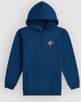 O'Neill Back Print Kids Hoodie blauw