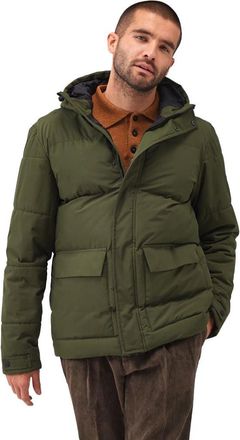 Regatta Mens Falkner Padded Jacket (XL) (Dark Khaki)