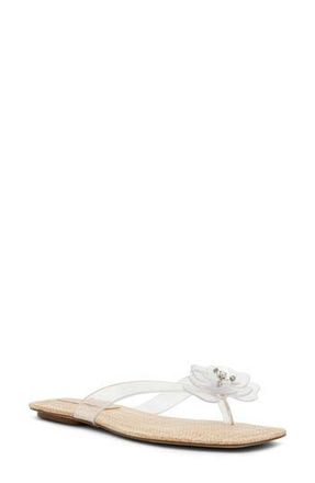 Steve Madden Tigerlily Flip Flop in Clear at Nordstrom Rack, Size 6.5
