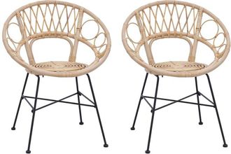 vidaXL Silla De Comedor 2 Pcs Natural 49 X 51 X 81 Cm Ratan E Hierro Vidaxl