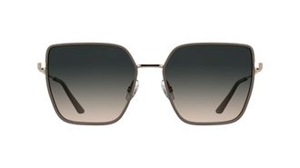 Calvin Klein Womens Sunglasses CK25111S - Rose with Gradient Rose Lens