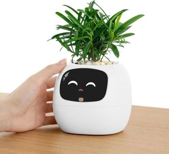 No Brand Compa&ntilde;ero Inteligente Para Plantas Con M&aacute;s De 100 Expresiones, Compa&ntilde;ero De Escritorio Interactivo Con Ia, Linda Maceta Para La Oficina, Regalo &Uacute;nico 