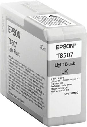 Epson Cartucho Impresora Epson C13t850700