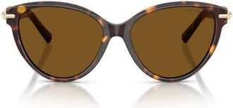Tiffany & Co. 56mm Polarized Cat Eye Sunglasses in Havana /Dark Brown Polar at Nordstrom