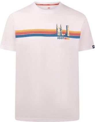 Trespass Standrew T-shirt in White at Nordstrom, Size X-Small