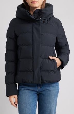 Save The Duck Arena Waterproof Hooded Puffer Jacket in Black at Nordstrom Rack, Size 5(L/xl)
