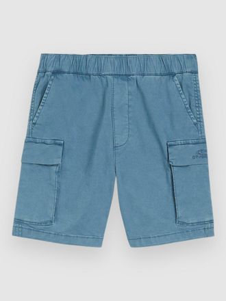 O'Neill Cargo Kids Korte Broek blauw