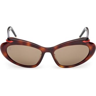Christian Louboutin 56mm Geometric Sunglasses in Havana /Gold /Zeiss Brown at Nordstrom