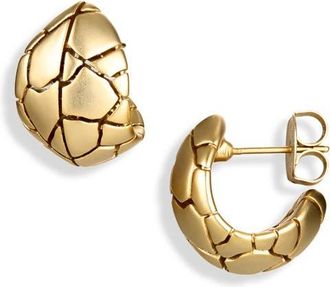 Zimmermann Byron Hoop Earrings in Gold at Nordstrom