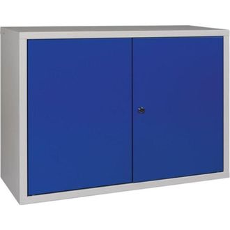OEM Armario De Pared Al 600 X An 800 X F 300 Mm De Chapa Maciza.1 Chapa De Acero Bd Gris Claro / Azul Genciana