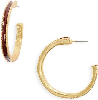 Karine Sultan Espresso Hoop Earrings in Gold at Nordstrom