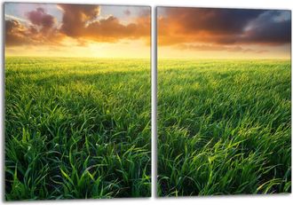 OEM Placa Protectora De Vidrio Para La Estufa 2x40x52 Ver