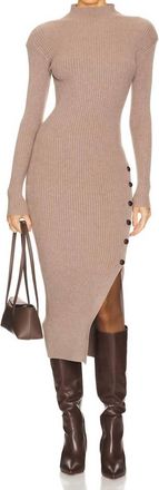 Astr Soryn Sweater Dress In Taupe