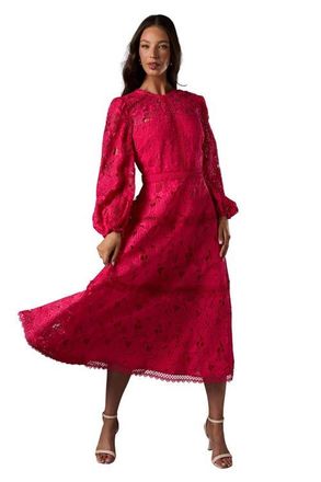 Coast Lace Panelled Long Sleeve Dress in Raspberry at Nordstrom, Size 14