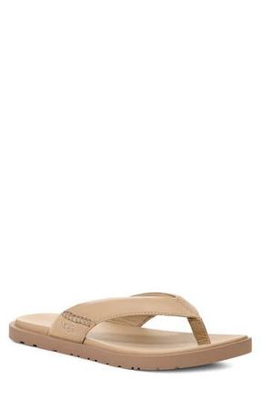 UGG Seaside II Flip Flop in Mustard Seed at Nordstrom Rack, Size 12