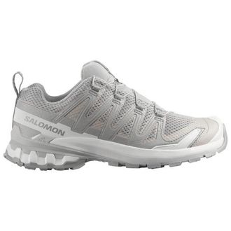 Salomon XA Pro 3D V9 Multisportschuhe f&uuml;r Damen | grau