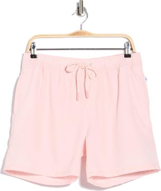 Vintage Summer Swimwear Performance Volley Swim Shorts in Pink at Nordstrom Rack, Size Xx-Large