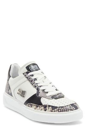 Roberto Cavalli Paneled Leather Sneaker in White at Nordstrom Rack, Size 8