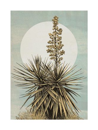 Komar Bild »Plans de Lagon« Natur 1 Stk. tlg. Wandbild zur Dekoration - ohne Rahmen