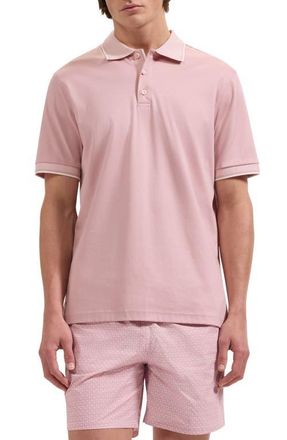 Bugatchi Tipped Pima Cotton Piqu&eacute; Polo in Dusty Pink at Nordstrom, Size Xx-Large