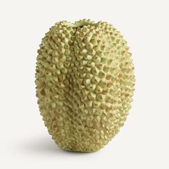 AM.PM Vaas van polyresin, Durio