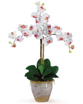 Nearly Natural Triple Phalaenopsis Silk Orchid Flower Arrangement