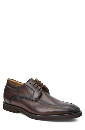 Bruno Magli Rimini Cap Toe Derby in Dark Brown Calf at Nordstrom, Size 11.5