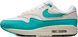 Nike (WMNS) Nike Air Max 1 Dusty Cactus DZ2628-107