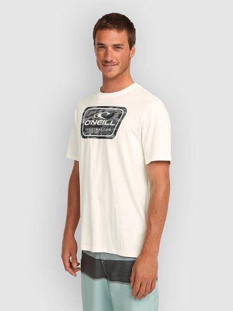 O'Neill Graphic T-Shirt grau