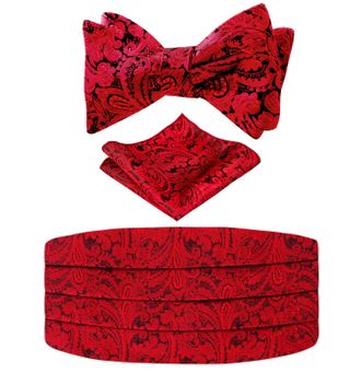 Alizeal Mens Classic Paisley Woven Self-tied Adjustable Bow Tie, Cummerbund and Pocket Square Set, Wine Red