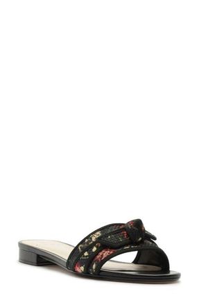 Alexandre Birman x Agua by Agua Bendita Grosgrain Raffia Slide Sandal in Paramo Tonia/Black at Nordstrom, Size 7.5