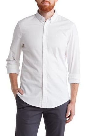 14th & Union Stretch Cotton Oxford Button-Down Shirt in White at Nordstrom Rack, Size Xx-Large