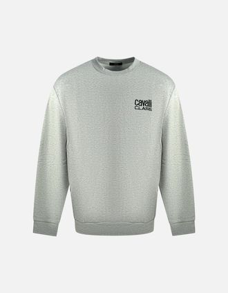 Roberto Cavalli Mens Cavalli Class Print Logo Grey Jumper - Size: 42