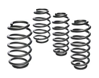 OEM Eibach Pro-kit - Muelles De Descenso E10-80-007-01-22