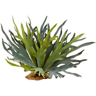 Nearly Natural 21-in Staghorn Fern in Green at Nordstrom
