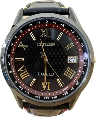 Citizen Titanium Wristwatch (Pre-Owned)