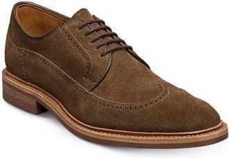 Allen Edmonds Winston Wingtip Brogue Derby in Snuff at Nordstrom Rack, Size 10.5