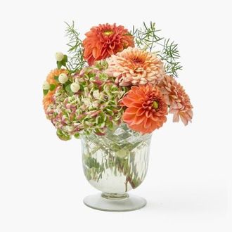 Mrs. Alice Scalloped Engraved Glass Vase in Clear at Nordstrom