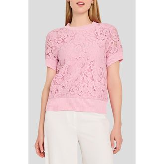 Tahari by ASL Lace Front Sweater in Tea Rose at Nordstrom, Size X-Small