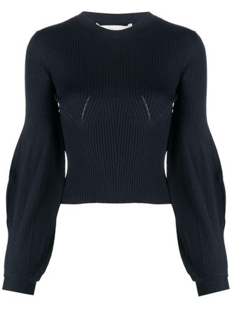 Stella McCartney ribbed-knit crewneck jumper - women - Polyester/Viscose - 34 - Blue