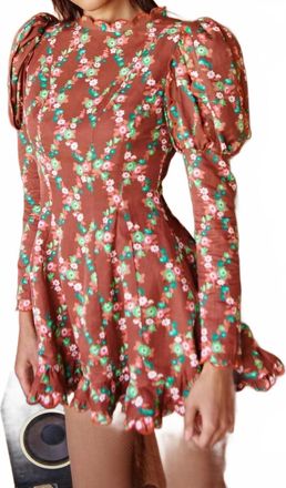 Celia B Acacia Mini Dress In Brown