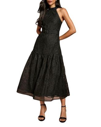 Coast Lace Organza Belted Halter Midi Dress in Black at Nordstrom, Size 14
