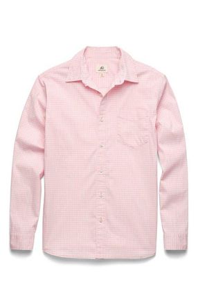 Surfside Supply Co. Brian Gingham Shirt in Pink Check Combo at Nordstrom, Size Xx-Large